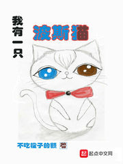 蓝眼波斯猫多少钱一只