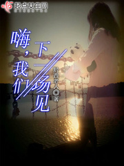 嗨,我们下一场见