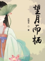 祈慎言沈长念小说