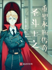 圣斗士之重塑水瓶传奇