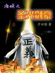 海贼之圣光剑豪精校