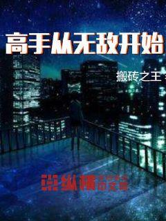 女总裁的无敌高手