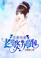 老婆别跑全文免费阅读