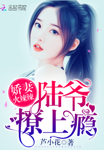 我在亮剑当战狼什么时候